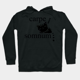 Carpe Somnum (Black) Hoodie